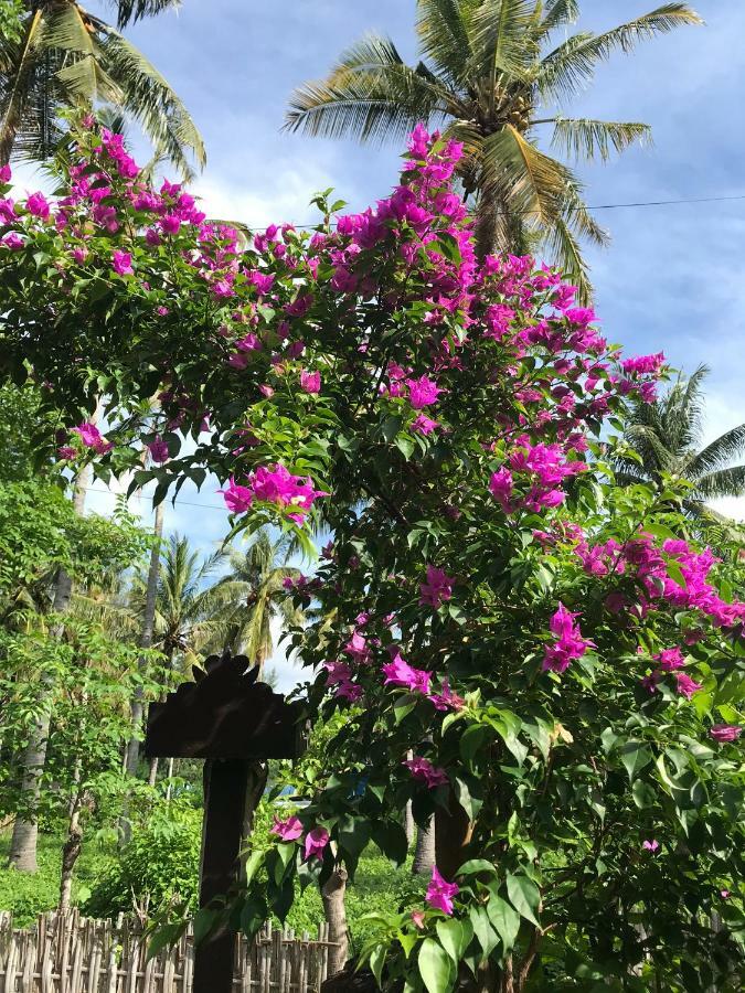 Meno Madia Bungalows Gili Meno Exterior photo